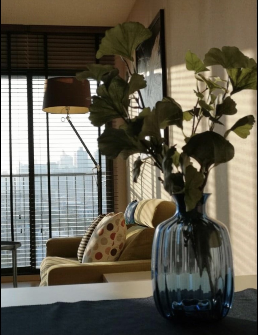 Noble Solo Thonglor, view 4